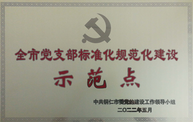 喜讯丨中共铜仁广播电视大学支部获得“全市党支部标准化规范化建设示范点”称号