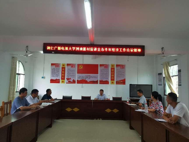 贯彻落实经济工作会议精神  统筹推进乡村振兴新局面