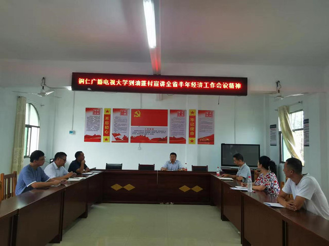 贯彻落实经济工作会议精神  统筹推进乡村振兴新局面