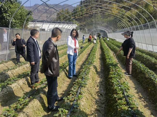 铜仁广播电视大学校长喻莉带队到区县电大工作站开展教学检查、办学评估督导等工作